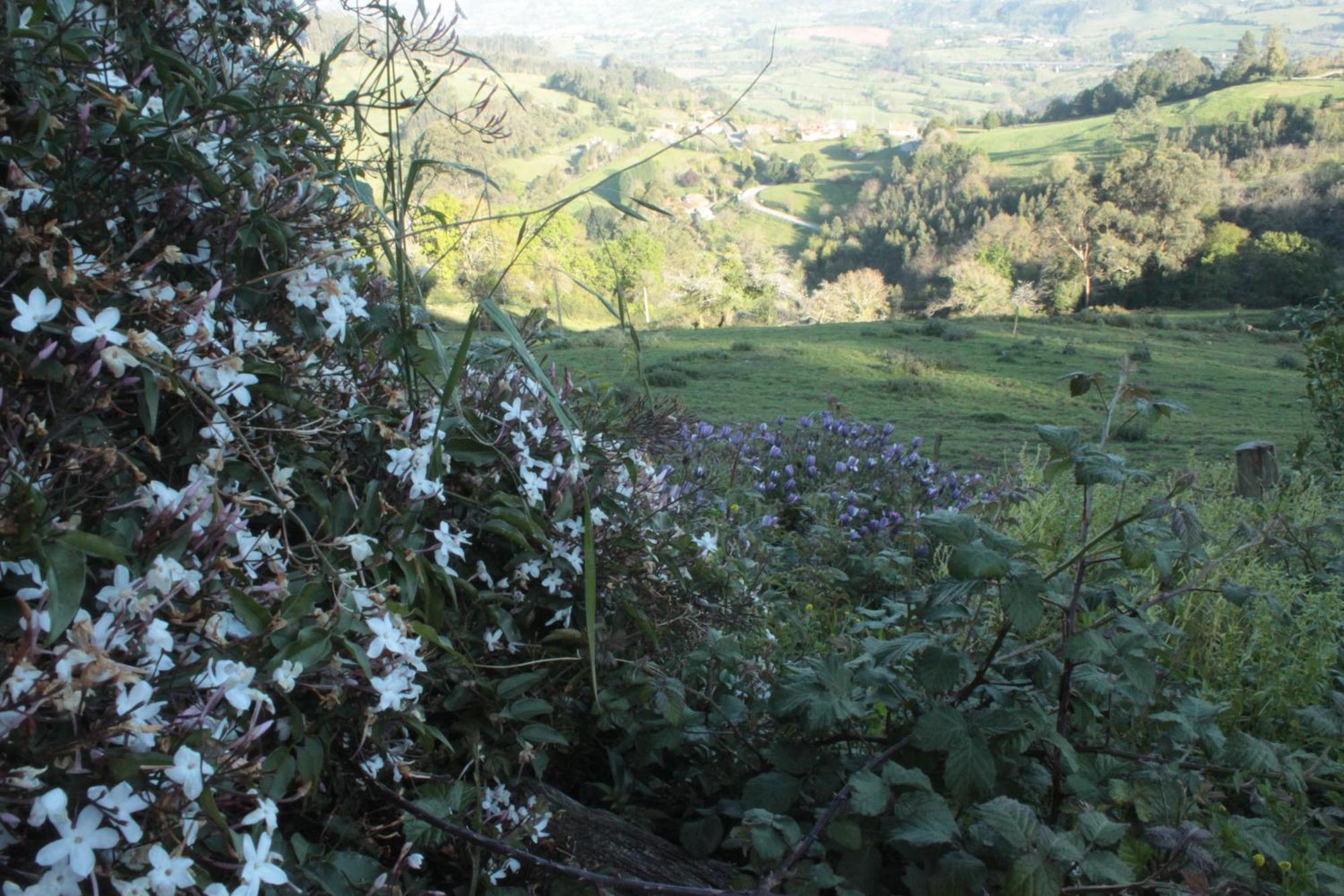 Alojamientos Rurales Pena Crespa Tresvilla Zewnętrze zdjęcie